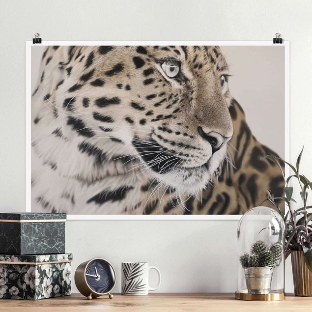 quadri con animali Il leopardo