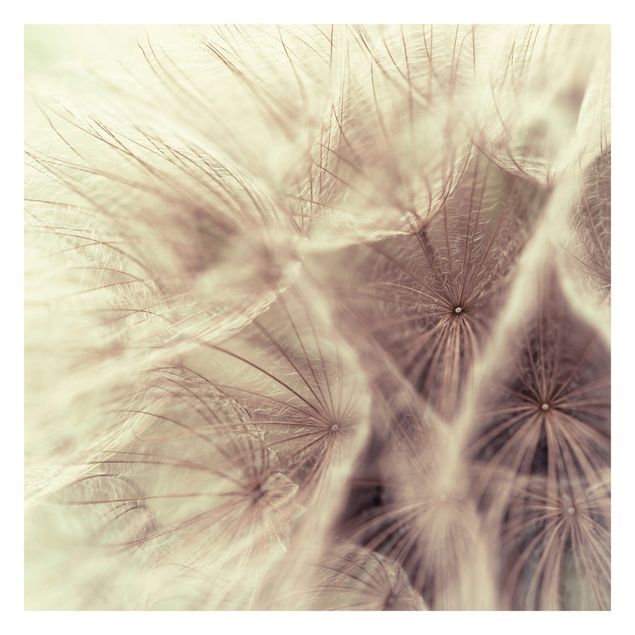 Carta da parati - Detailed dandelions macro shot with vintage blur effect