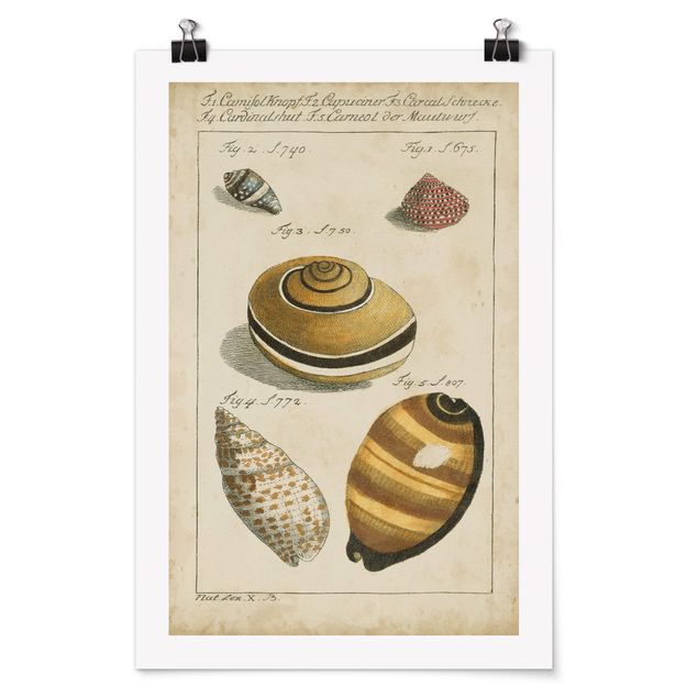 Poster - Worm Vintage Disegno Giallo - Verticale 3:2