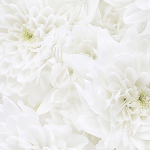 Pellicola adesiva - Mare floreale di dalie bianco