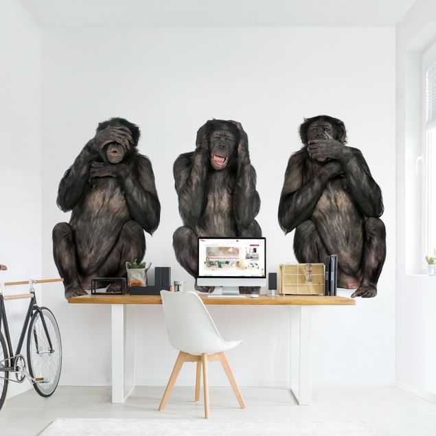 Carta da parati - Le tre scimmie sagge