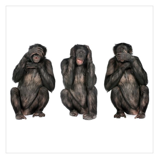 Carta da parati - Le tre scimmie sagge