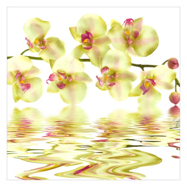 Carta da parati - Dreamy Orchid Waters