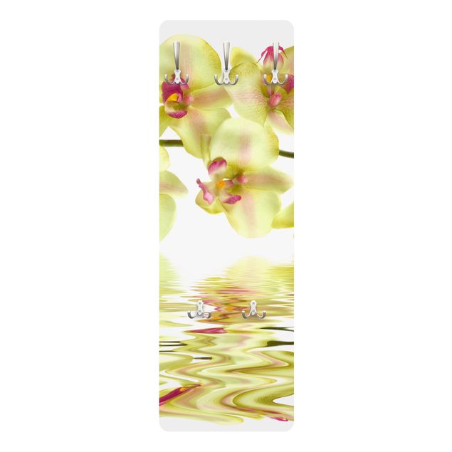 Appendiabiti - Dreamy Orchid Waters
