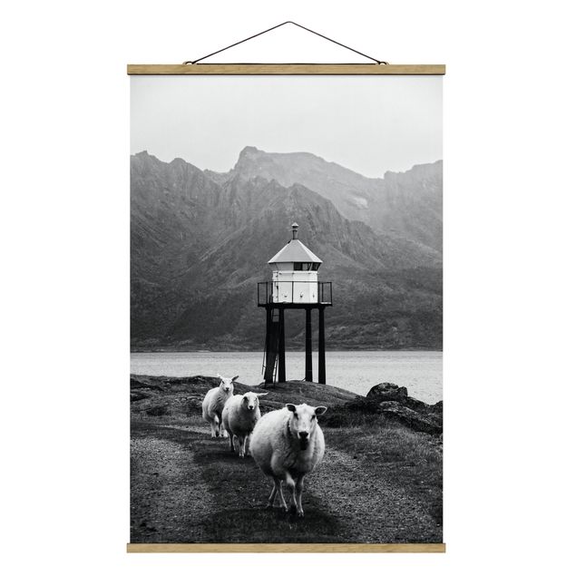 Foto su tessuto da parete con bastone - Tre pecore sulle Isole Lofoten - Verticale 2:3