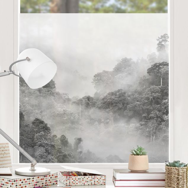 Pellicola per vetri per salone Giungla nella nebbia in bianco e nero