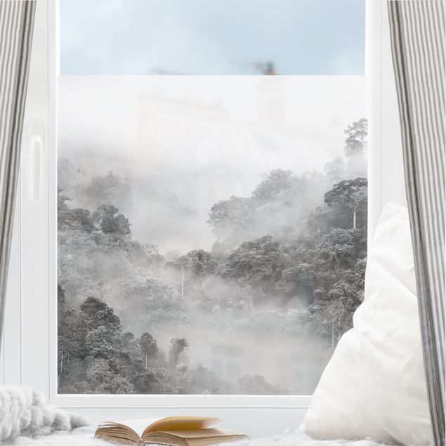 pellicola colorata per vetri Giungla nella nebbia in bianco e nero