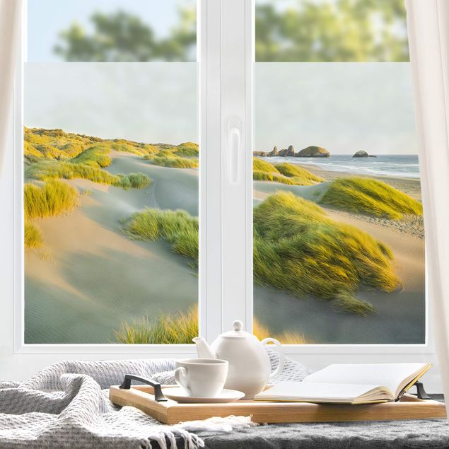 Pellicola per vetri con erbe Dune e cespugli al mare