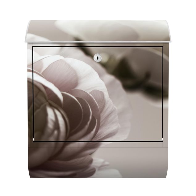 Cassetta postale - Focus su fioritura scura