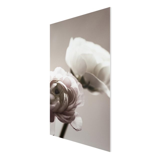 Stampa su Forex - Focus su fioritura scura - Formato verticale 2:3