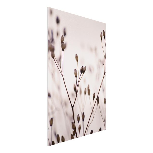 Stampa su Forex - Gemme scure su ramo di fiori selvatici - Formato verticale 2:3
