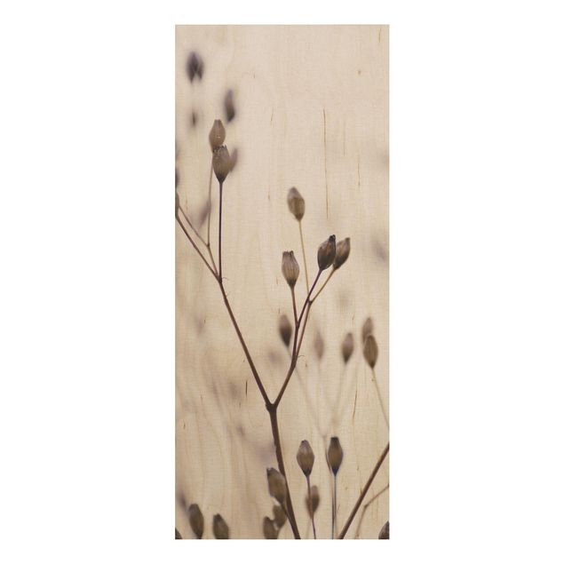 Stampa su legno - Gemme scure su ramo di fiori selvatici