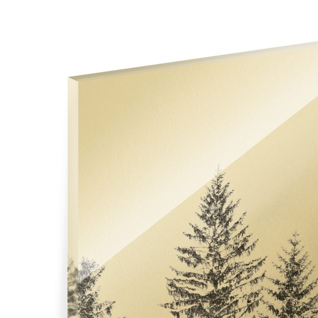 Quadro in vetro - Paesaggio invernale scuro - Formato verticale