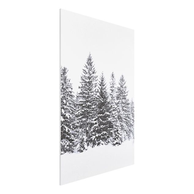 Stampa su Forex - Paesaggio invernale scuro - Formato verticale 2:3