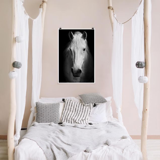 Poster - Sogno Di Un Cavallo - Verticale 3:2
