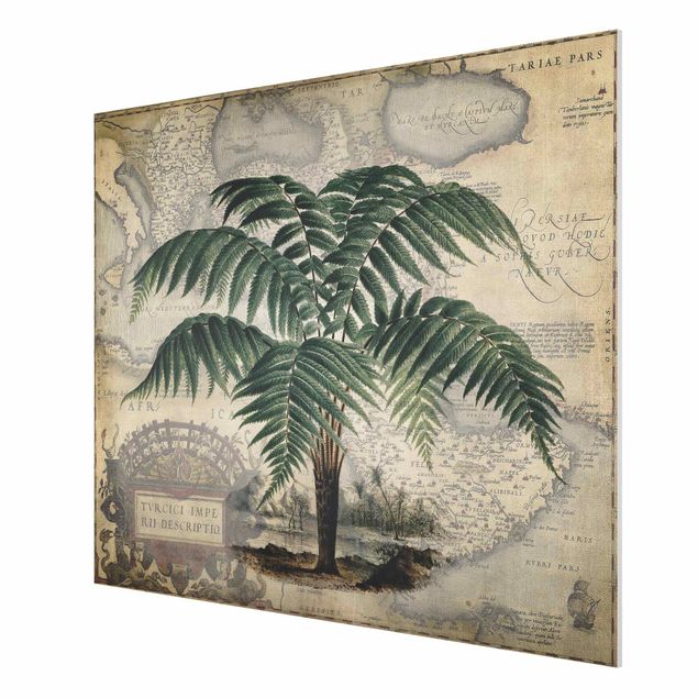 Stampa su Forex - Vintage Collage - Palm e mappa del mondo - Orizzontale 3:4