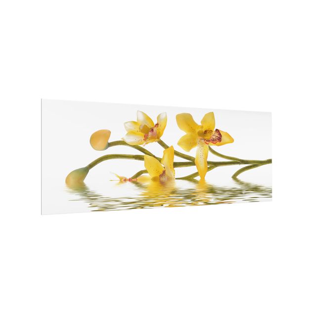 Paraschizzi in vetro - Saffron Orchid Waters