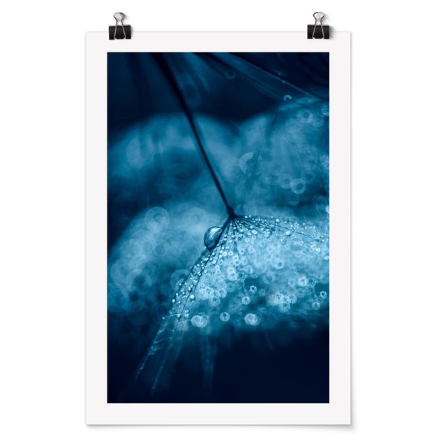 Poster - Tarassaco Blu In The Rain - Verticale 3:2