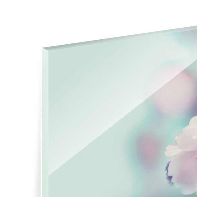 Paraschizzi in vetro - Fiori di ciliegio colorati - Formato orizzontale 2:1