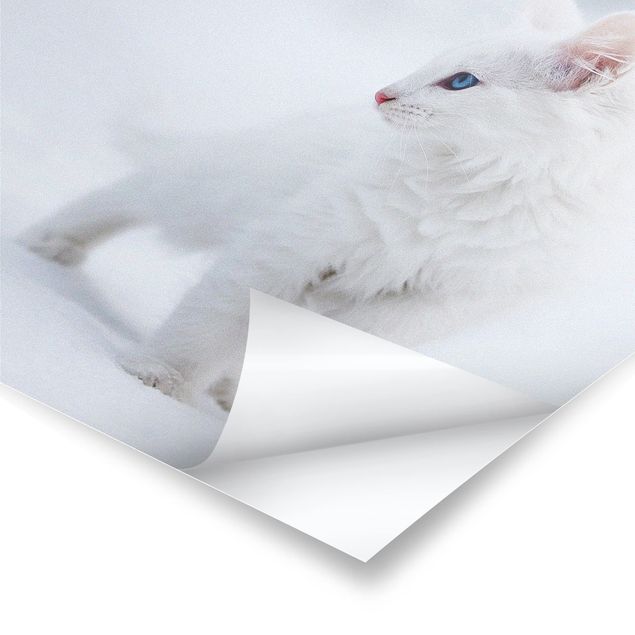 Poster - Bianco come la neve - Quadrato 1:1