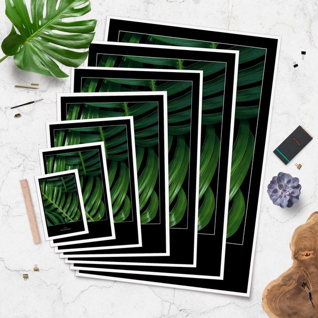 Poster - Tropical Leaves Philodendron - Verticale 3:2