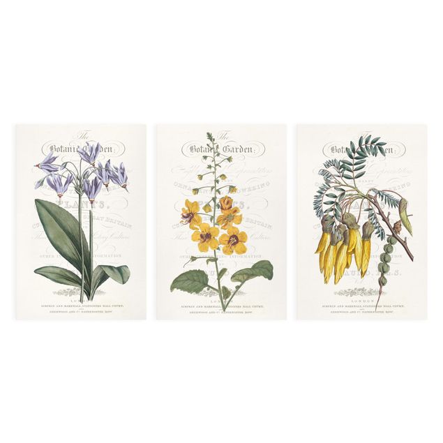 Stampa su tela - tableau botanico Set I - Verticale 3:2
