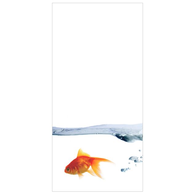 Tenda a pannello Goldfish 250x120cm