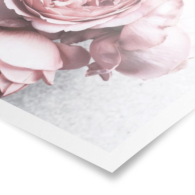 Poster - Pink Peony fiori pastello misera - Verticale 4:3