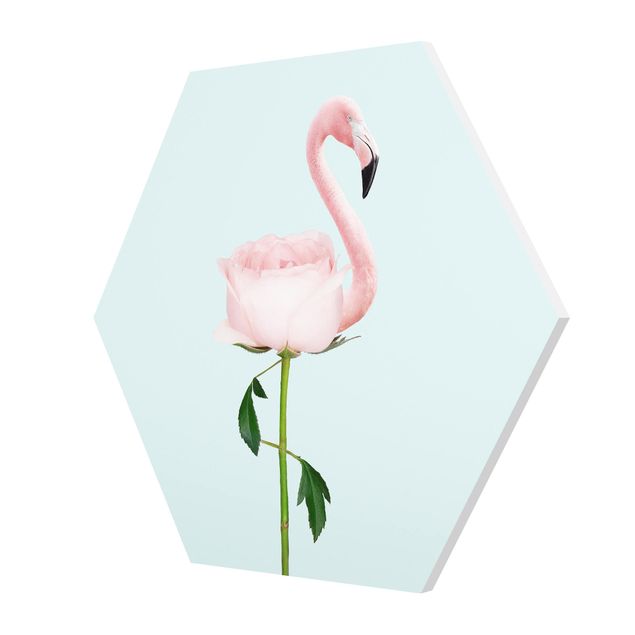 Esagono in forex - Flamingo con Rosa