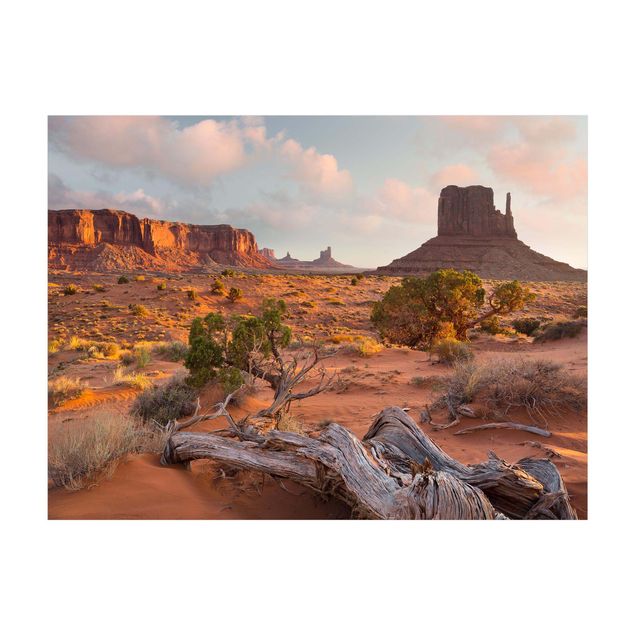 Tappeti effetto naturale Parco tribale Navajo della Monument Valley in Arizona