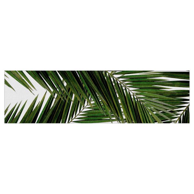 Rivestimento cucina - Scorcio tra foglie di palme verdi