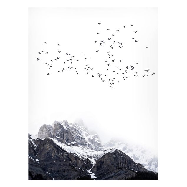 Lavagna magnetica per ufficio Stormo di uccelli di fronte alle montagne in bianco e nero