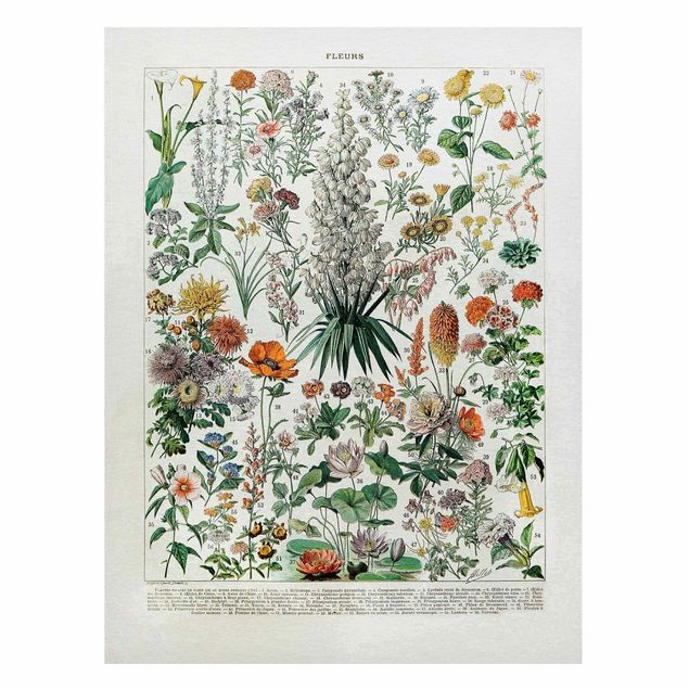 Lavagna magnetica - Vintage Consiglio Flowers I - Formato verticale 4:3