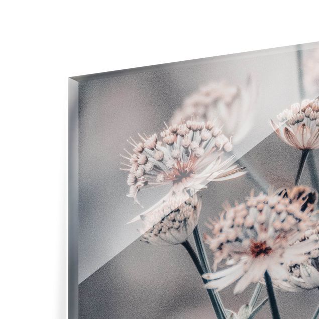 Paraschizzi in vetro - Mistico cespuglio di fiori - Formato orizzontale 2:1