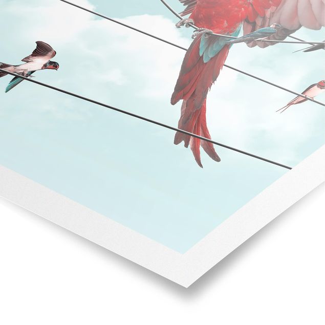 Poster - Cielo Con Uccelli - Verticale 4:3