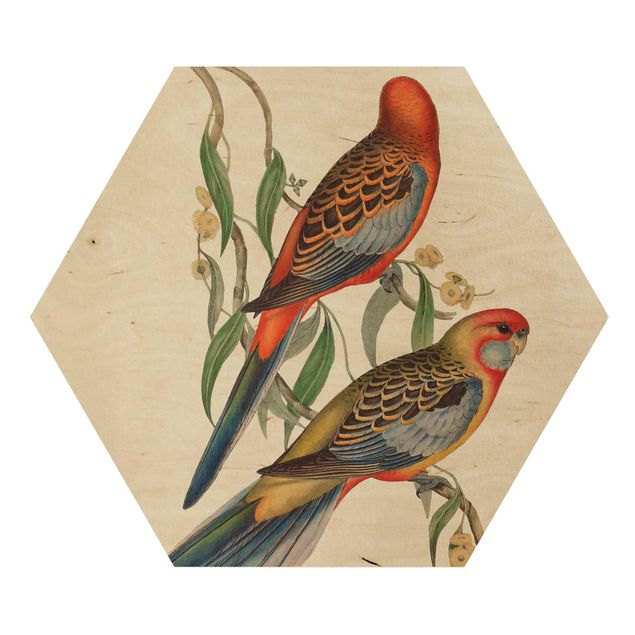Esagono in legno - Tropical Parrot II