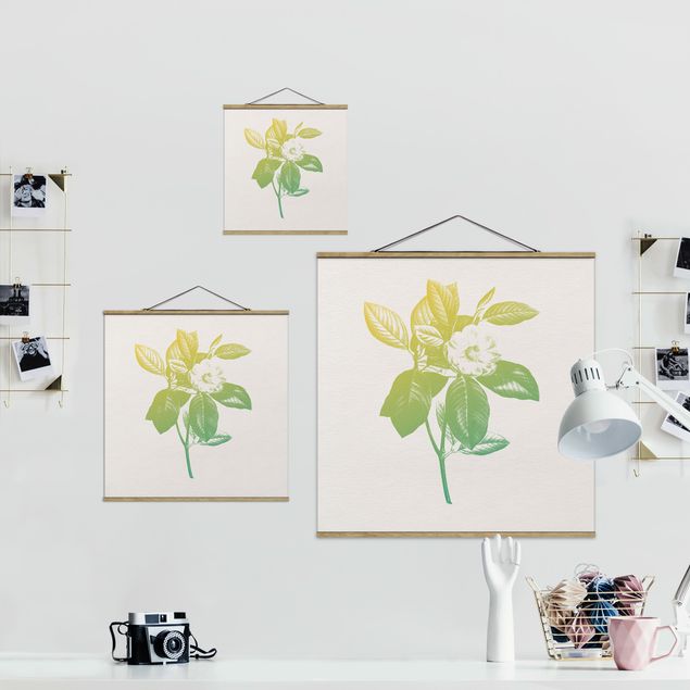 Quadro su tessuto con stecche per poster - Moderna Vintage Botanica Fiore di ciliegio Verde Giallo - Quadrato 1:1