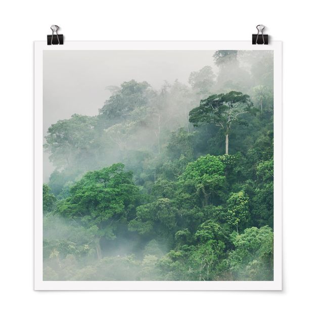 Poster - Jungle Nella Nebbia - Quadrato 1:1