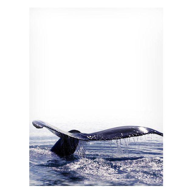 Lavagna magnetica per ufficio Canto di balena in Islanda