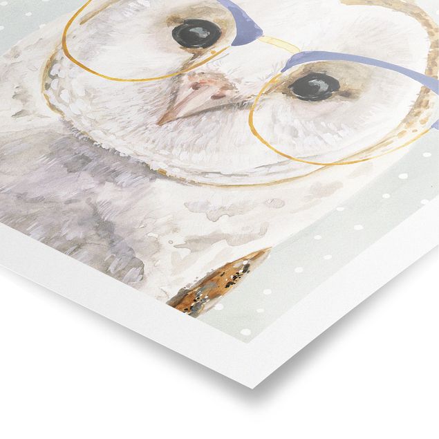 Poster - Animali Occhialuto - Owl - Quadrato 1:1