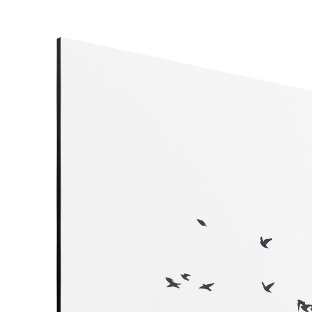 Stampa su alluminio - Stormo di uccelli davanti a montagne bianco e nero - Quadrato 1:1
