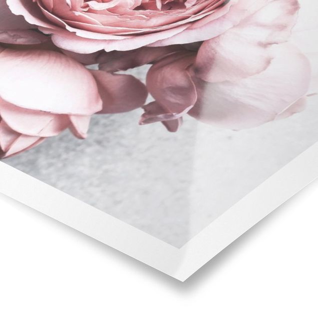Poster - Pink Peony fiori pastello misera - Verticale 4:3