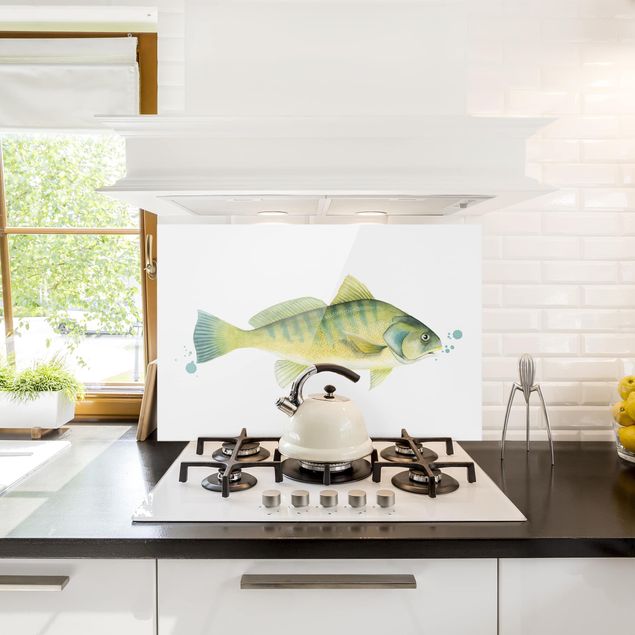 paraschizzi bianco cucina Colore Cattura - Pesce persico