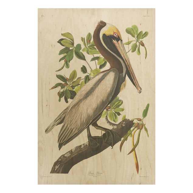 Stampa su legno - Vintage Consiglio Brown Pelican - Verticale 3:2