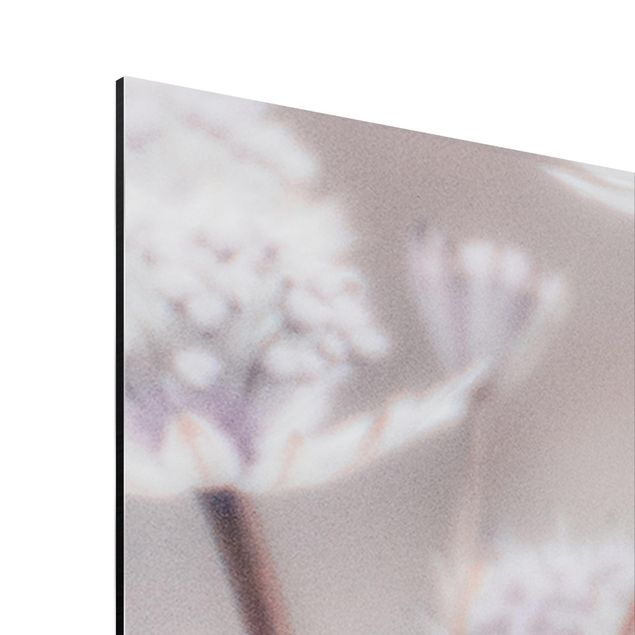 Stampa su alluminio - Leggeri fiori selvatici