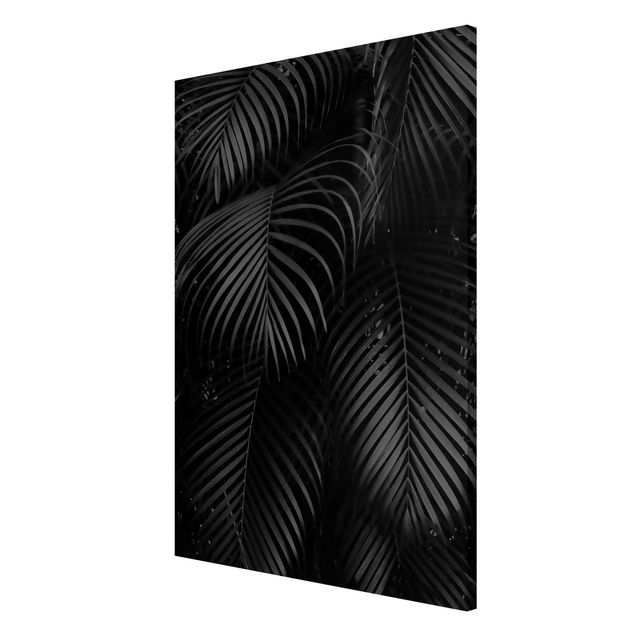 Lavagna magnetica - Nero Palm Fronde - Formato verticale 2:3