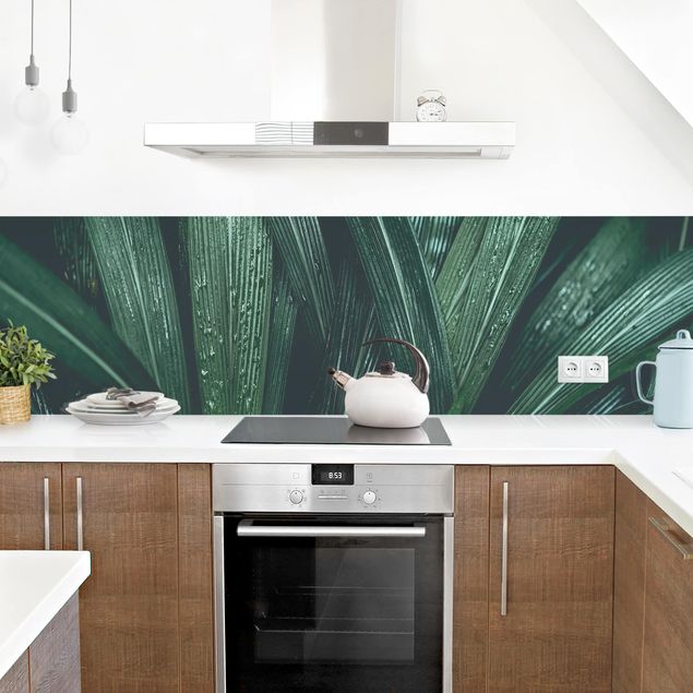 Rivestimenti cucina di plastica Foglie di palma verde