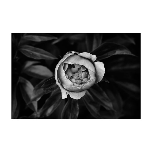 Tappeti bianco e nero Fiore di peonia bianco Foglie anteriori nere