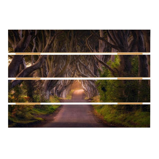 Stampa su legno - Tunnel dagli alberi - Orizzontale 2:3