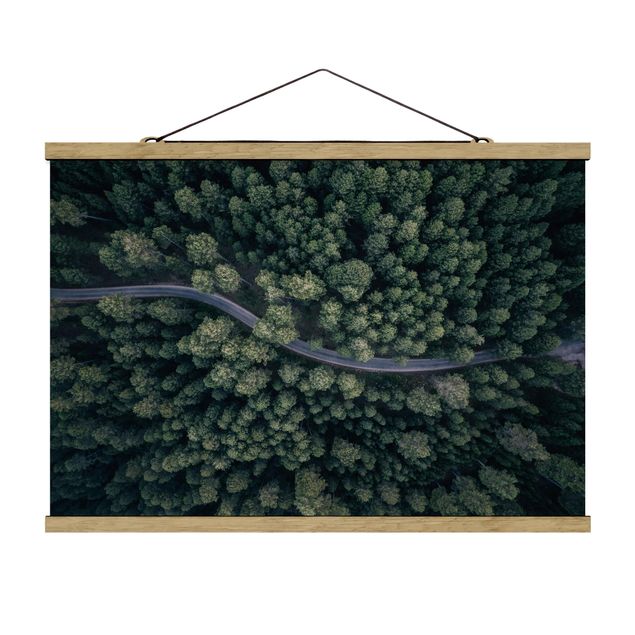 Foto su tessuto da parete con bastone - Veduta aerea - Forest Road From The Top - Orizzontale 2:3